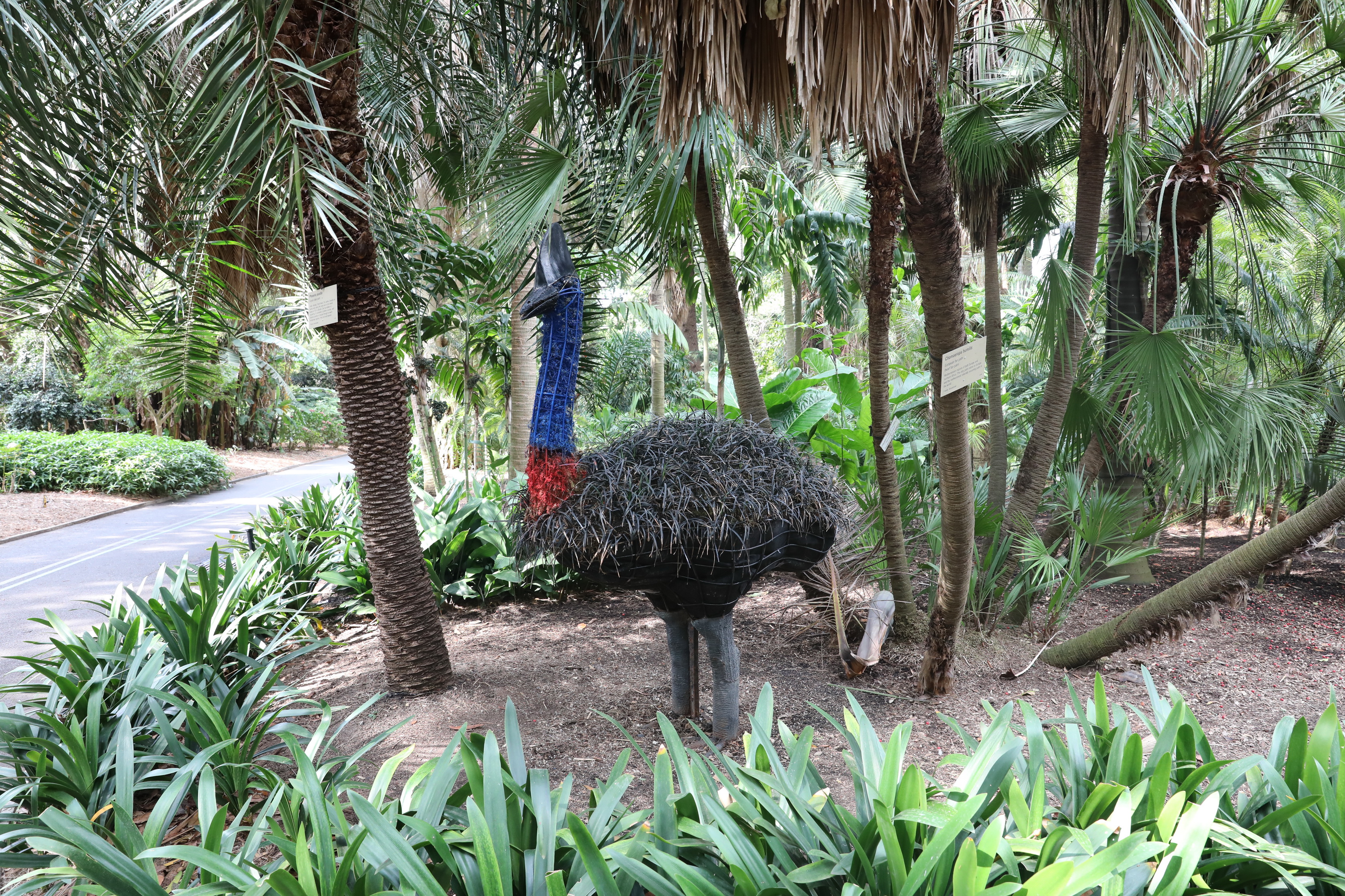 Royal Botanic Gardens